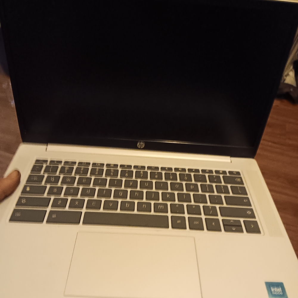 HP Silver and Black Laptop